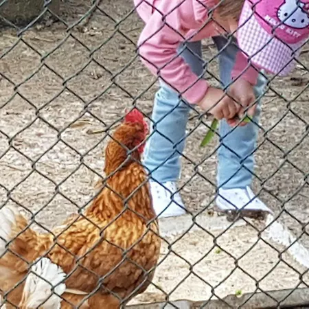 Casa Da Ti Bia * שטובל