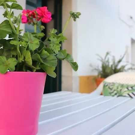 Casa Da Ti Bia בית נופש *