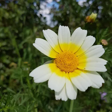 Σπίτι διακοπών Casa Da Ti Bia