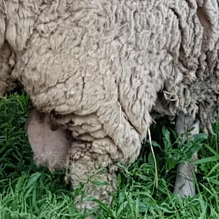Σπίτι διακοπών Casa Da Ti Bia
