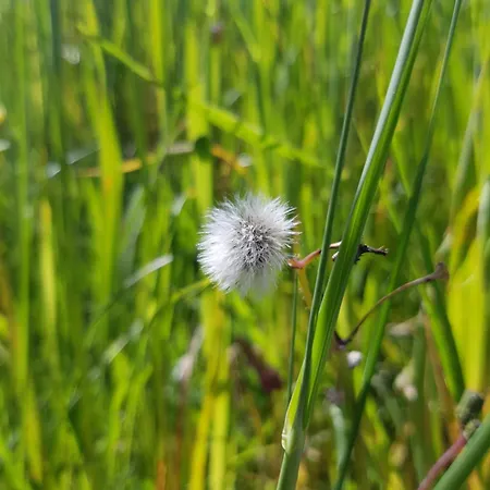 Casa Da Ti Bia Σπίτι διακοπών