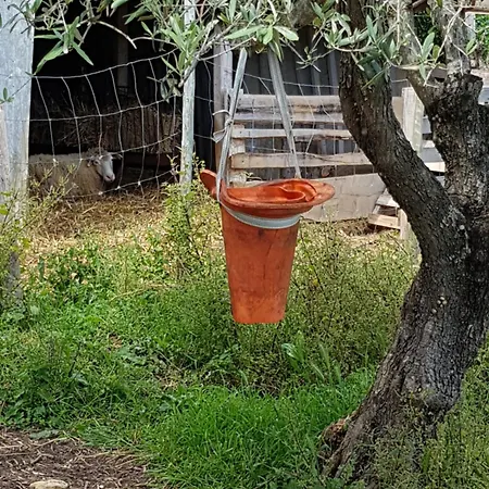 Nyaraló Casa Da Ti Bia *