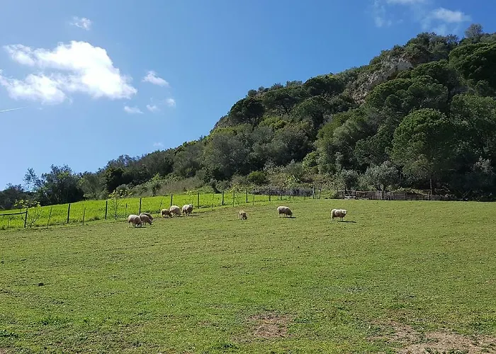 Nyaraló Casa Da Ti Bia